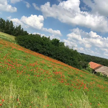 Ferienhaus Zacisze Rostken, Wypoczynek Na Mazurach, Dom Caloroczny Z Prywatna Plaza Ostrow (Pisz)